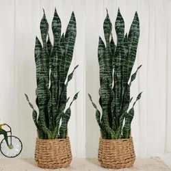 Hourpark Factory Anti-UV Waterproof Outdoor Agave Bonsai Sets Artificial Plants For Decoration