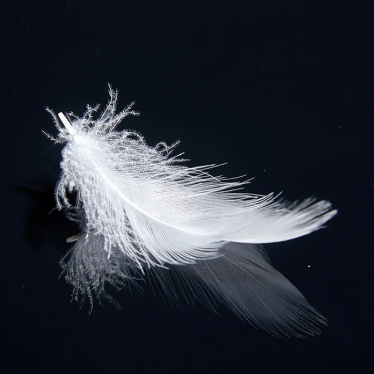 IDFL certified high cleanliness natural raw filling materials washed 2-4cm white goose feather