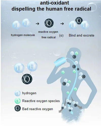 OEM factory manufacturer Hydrogen water purifier RO system producing alkaline and acidic water for household office use
