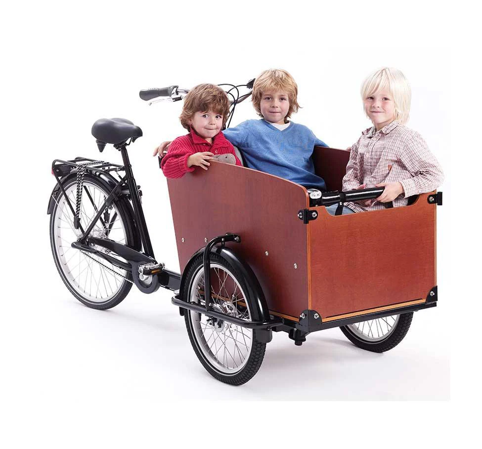 European Quality Aluminum Alloy Tricycle Delivery Bike 3 Wheel  Cargo Bike