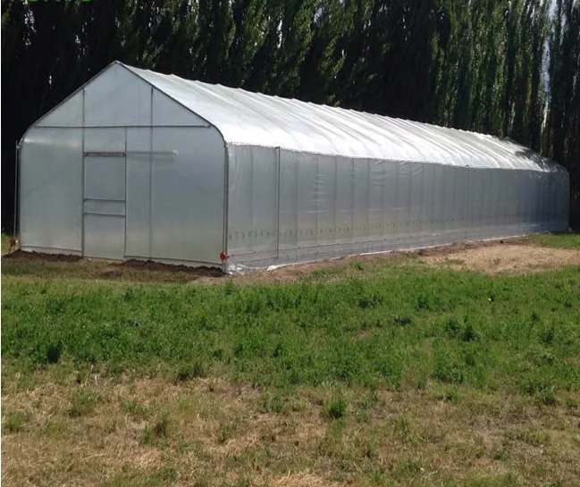 Small Size Hydroponic Tunnel Greenhouse Chinese Agricultural Greenhouse with Film Plastic Glass and Steel Cover PE Material