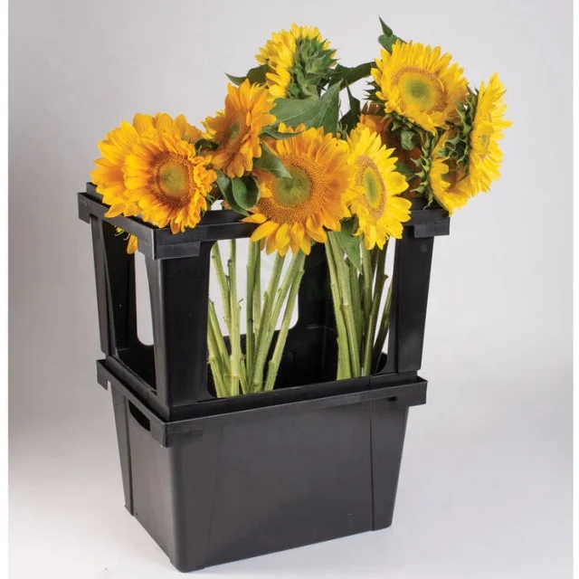 Plastic cut flower transport display garden center shop used flower bucket