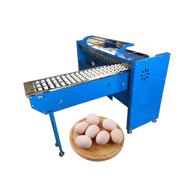 Stainless Steel High Quality Egg Grader egg Sorting Machine Egg Grading Machine Price