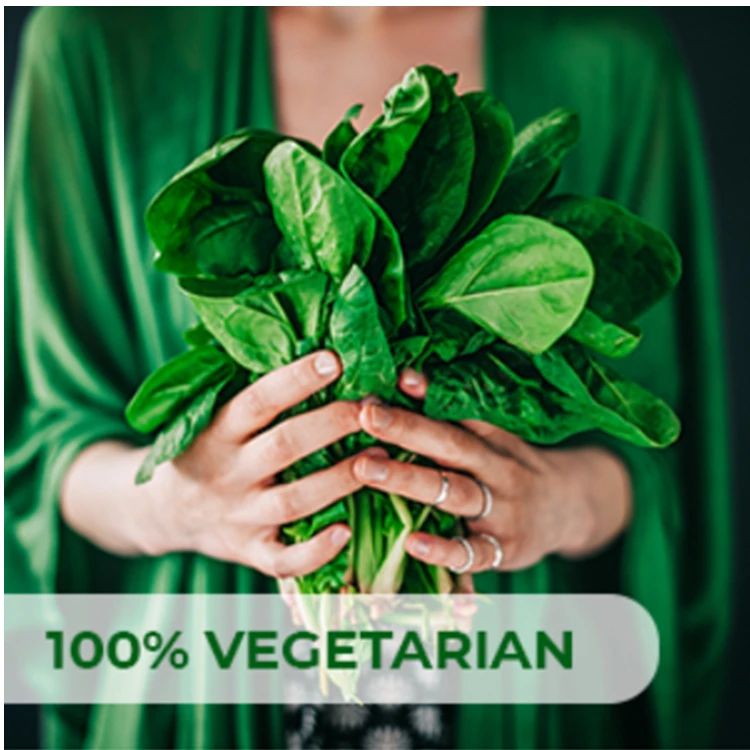 Slimming capsule Energy Booster White kidney bean capsules 100% Pure Carb Blocker and Fat Absorber Natural Energy Pills