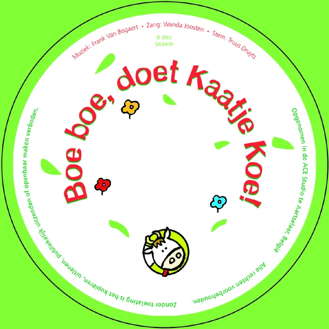 Пользовательская съемка CD DVD дисков в