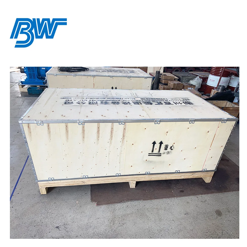 Chinese Cryogenic Liquid Nitrogen Piston Pump