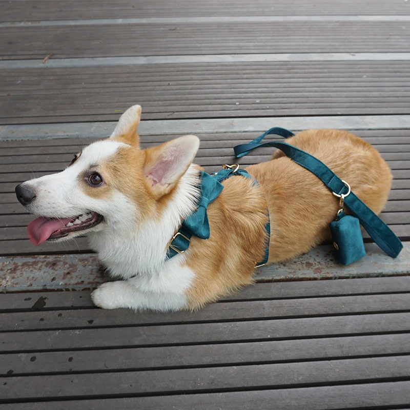 dog harness velvet (34).jpg