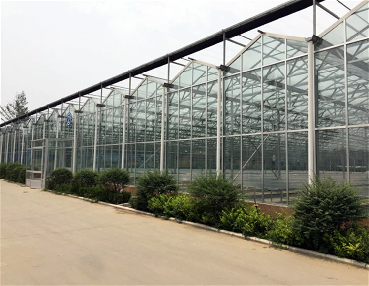 galvanized venlo greenhouse insulated tempered agriculture glass greenhouse
