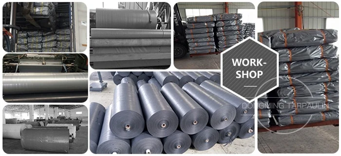 Tarpaulin Silver7.jpg