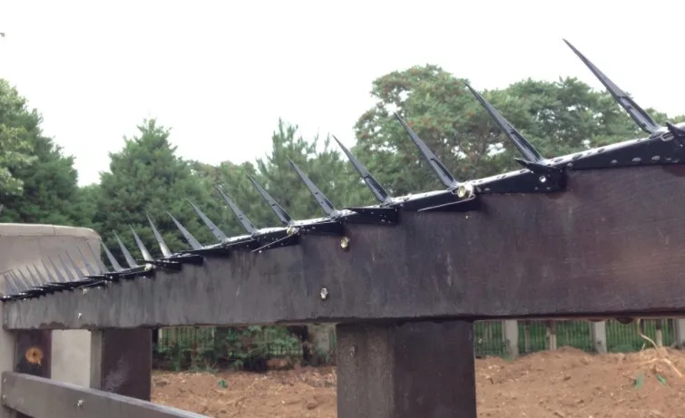 Среднего размера с порошковым покрытием против взлома, шипы для бритвы