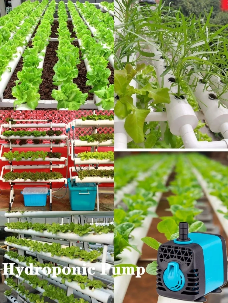 Raybow best air pump 3 in 1 aquarium pump favourable price suction submersible fish pond pump filter for 75 gallon aquarium