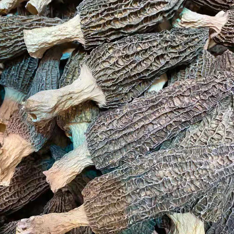 
In Bulk Supplying Great Hongos Texture Package Precio Price Wild Black Dried De Fresh Morchella Mushroom 