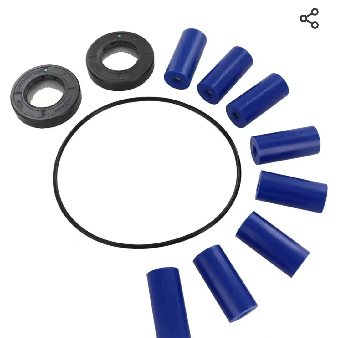 Schwing Spare Part Seal Set for Water Pump 10011294 10170884 30301745 30301745 10018071 34300511