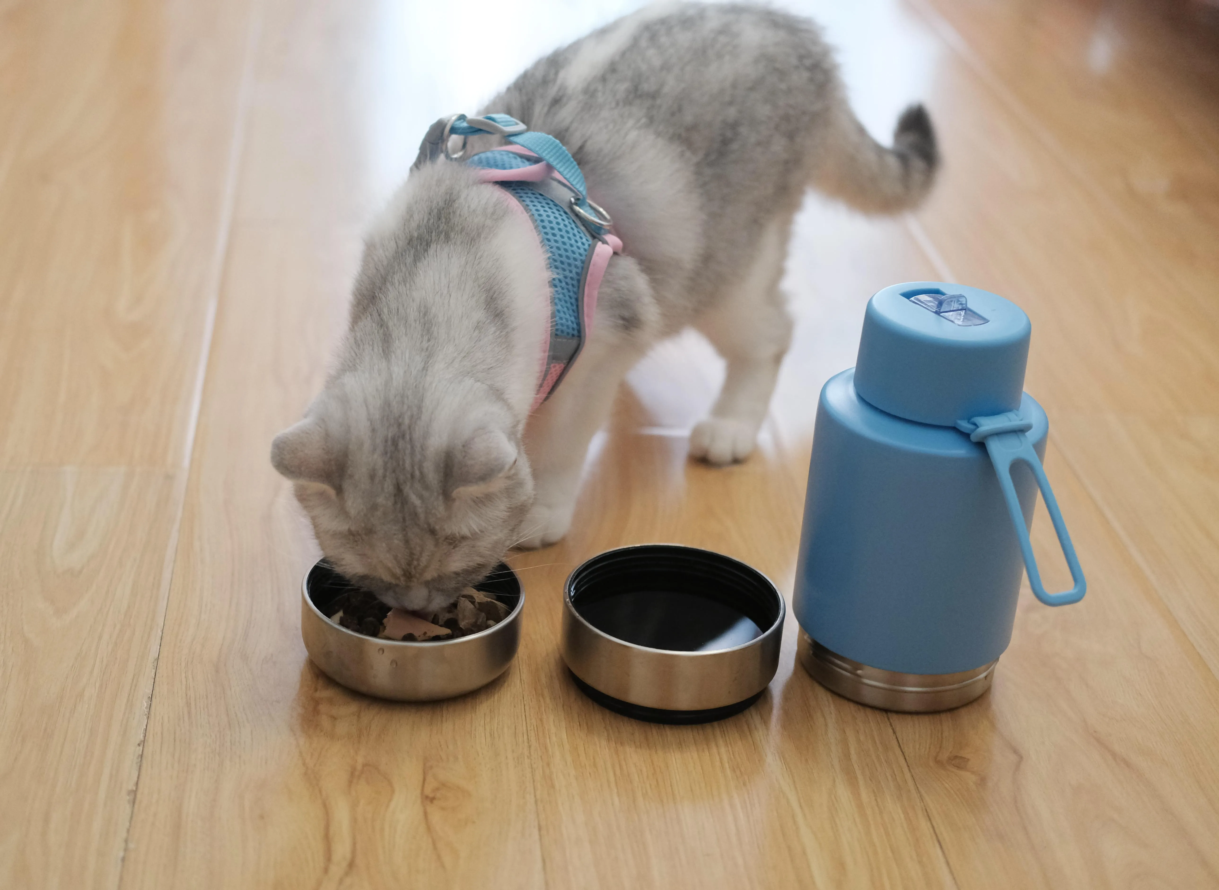 OKKPETS Custom Logo 32Oz Portable 3 in 1 Dog Water Bottle Pet Feeder Travel Bowl Insulated Dog Bottle