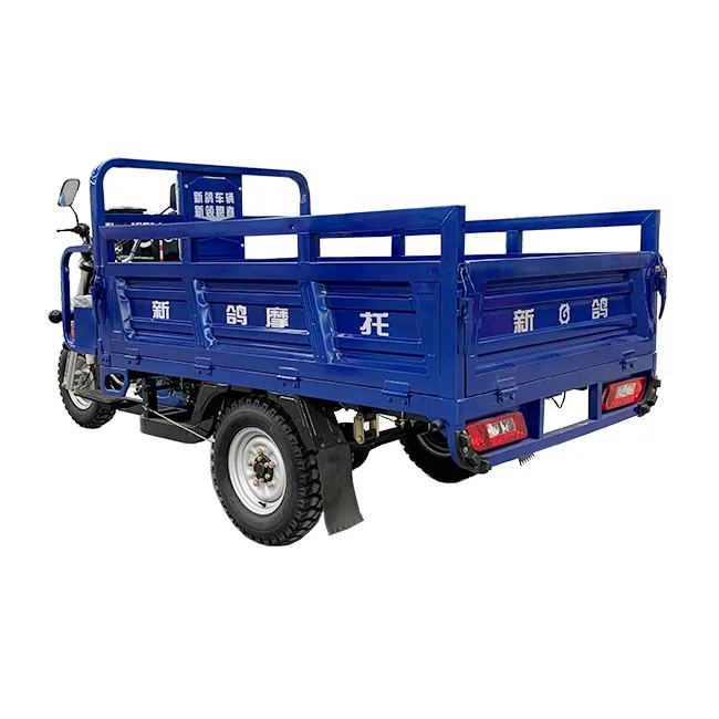 Three-wheeled gasoline cargo motorcycle 250cc water-cooled engine for Tanzania