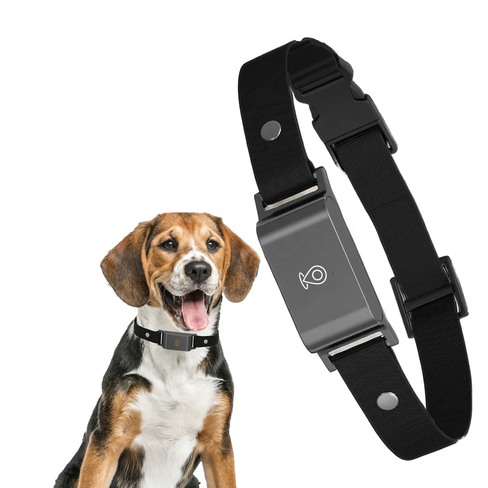 Hot Wholesale   Dogs Tractive App Tracker Waterproof GPS Location White Smart Pet  Activity Tracker