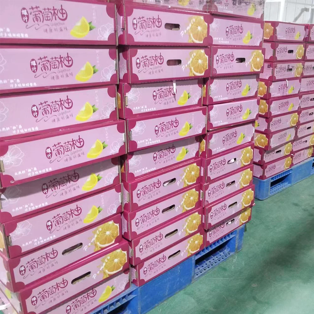 Sweet Juicy Grapefruit Fresh Fruit China Mini Pomelo Price