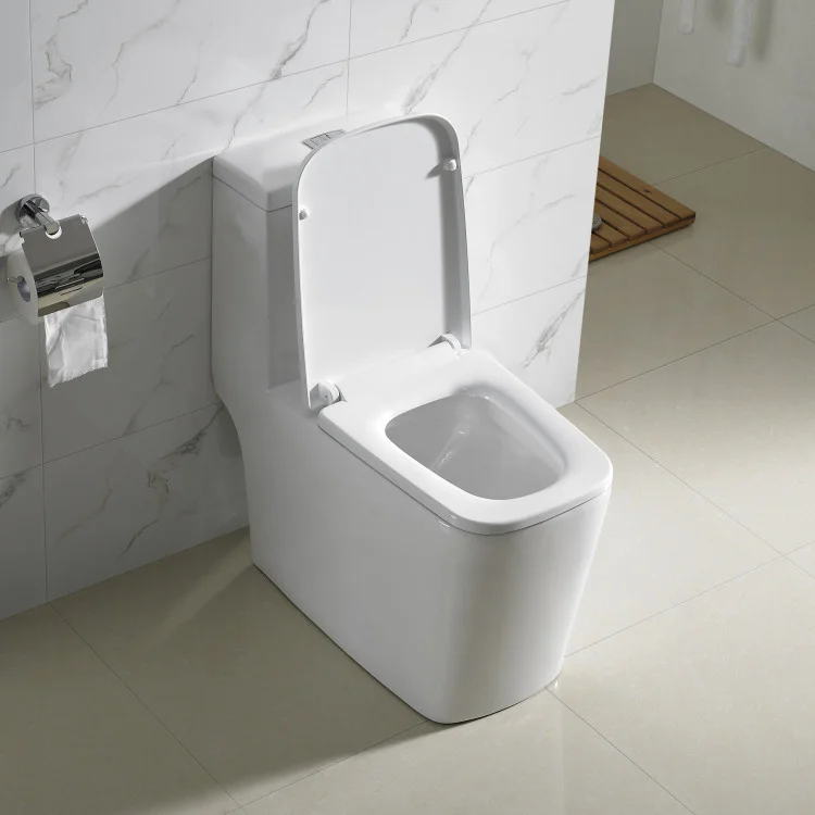 Toilet & Accessories 2021 Hot Sale white ceramic toilet water saving big impact