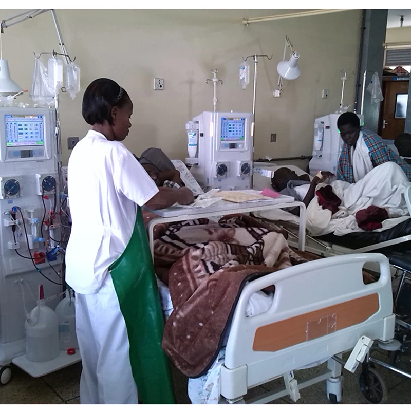 SY-O001 Multifunctional Hemodialysis Equipment for hemodialysis treatment Kidney Hemodialysis Machine kidney dialysis machine