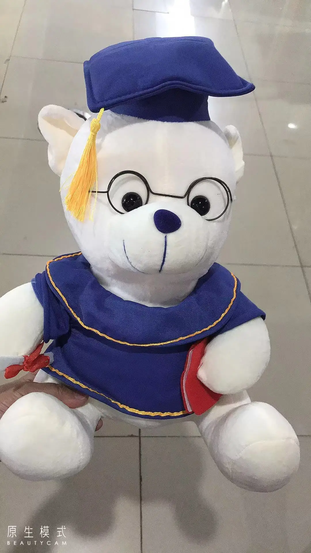 New Arrival Stuffed Animal Plush Toy Graduation Bear Graduation Bachelors Uniform Custom Graduation Stuffed Hat & Gown dolls