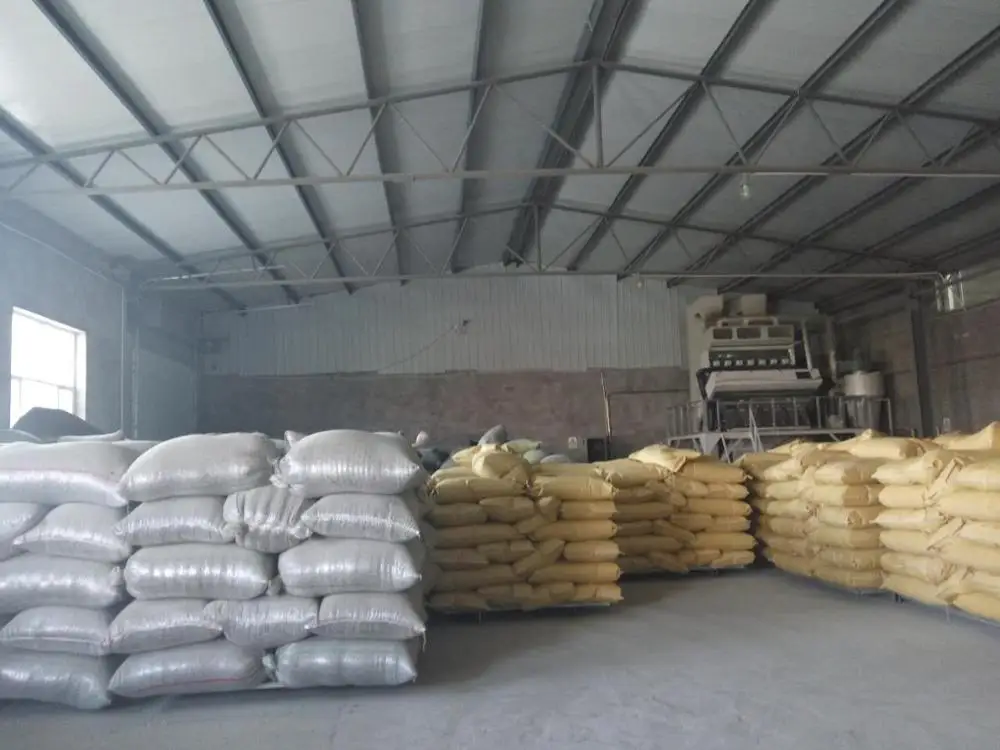  Chinese 2021 new crop sunflower seeds 363 for