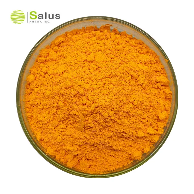 Factory Price Bulk Natural Curcuma Extract curcumin 95%
