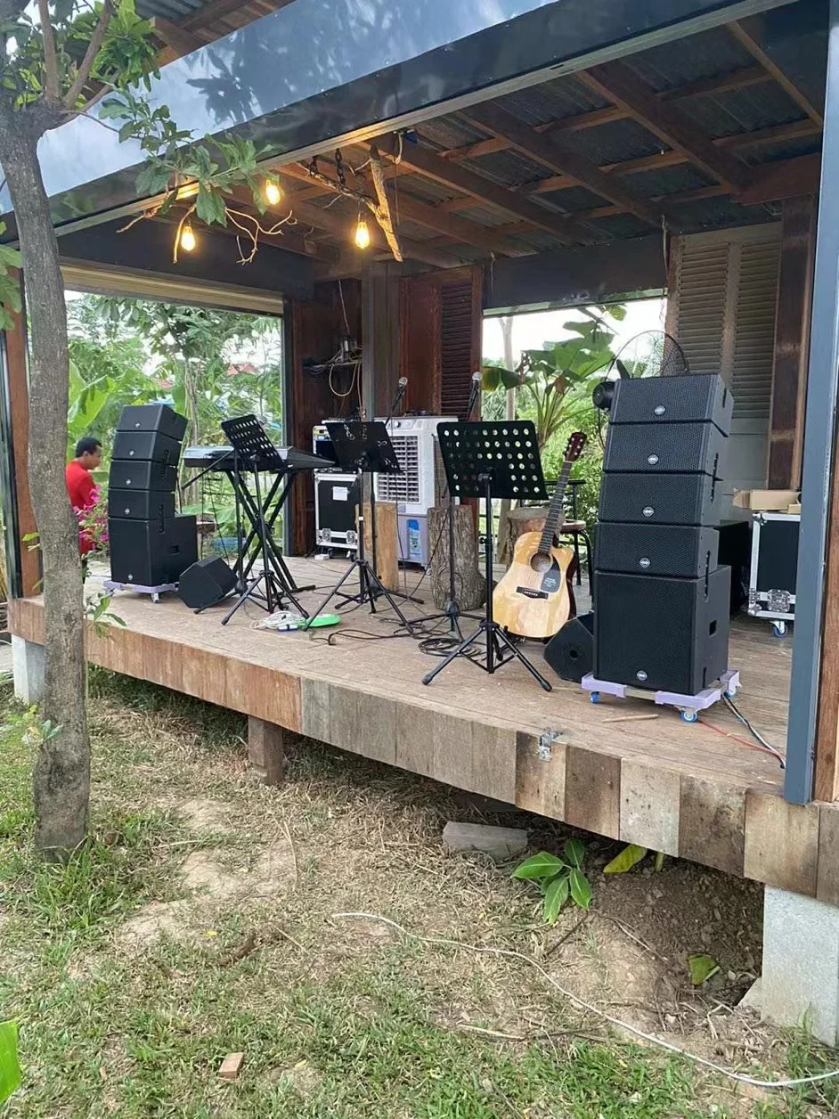 Morin COX-5.4 Mini coaxial line arrry pa system passive line array speakers