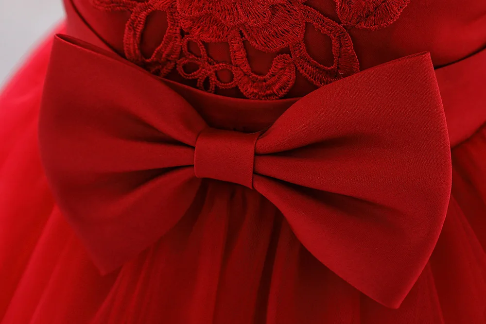 Baby Flower Dress Little Girl Tulle Dress Infant Baby Clothes Frocks Toddler Pink Frocks Princess Dress Baby Frock for 2 Years