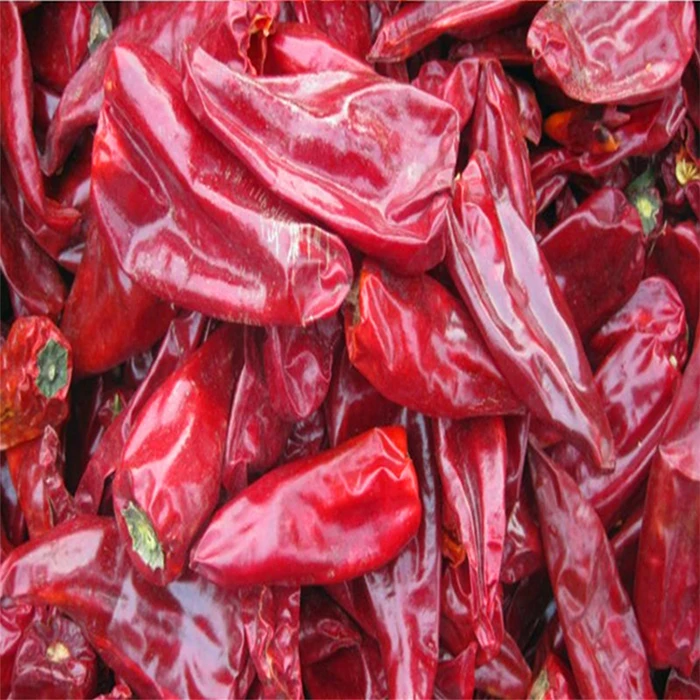 High Quality New Crop Fresh And Frozen Jinta Chili Red Chilli Jinta