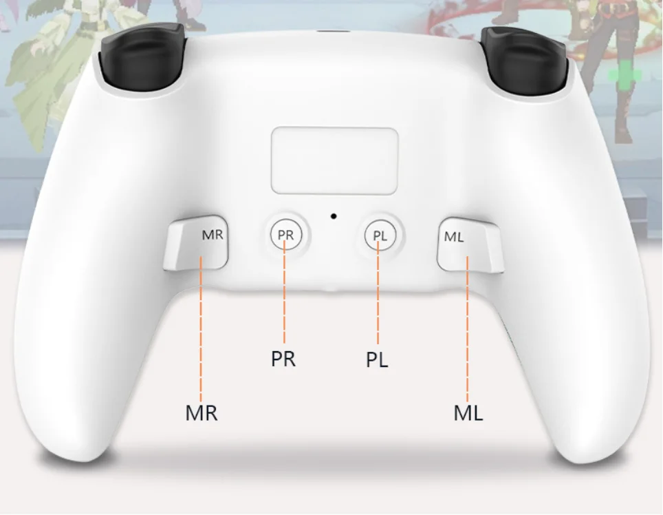 Programmable Gamepad PS5 Controller Style PS4 Controller