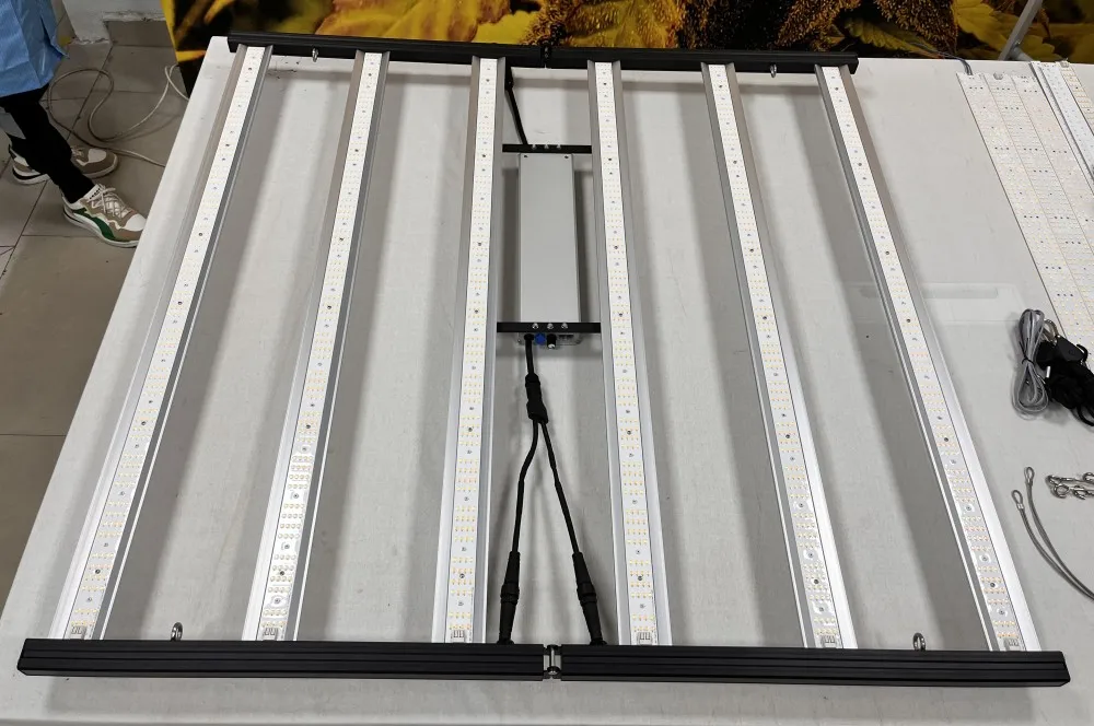 Full Spectrum Light 660nm Plant Light 800w 1000w 1200w LED Plant Grow Lamp For Indoor Vertical Farming