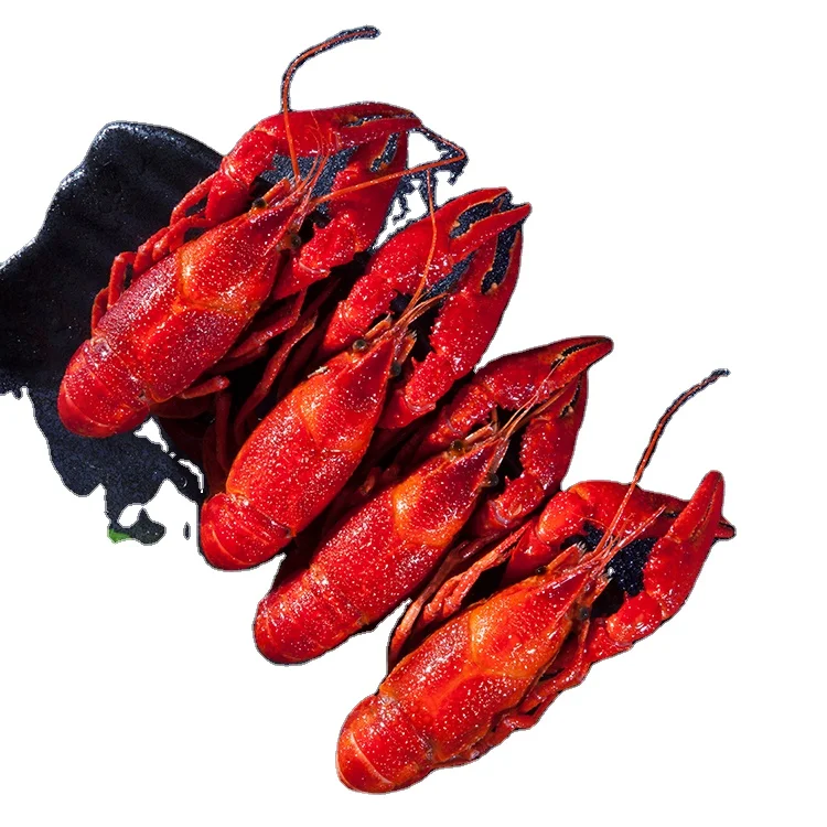Shiweiku Branded Most Popular Wholesale Chinese Seafood Cooked Crayfish Frozen (62562463819)