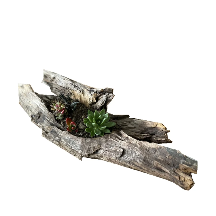 
Wholesale Art Crafts Driftwood Planter Wooden Table Flower Succulents Pot 