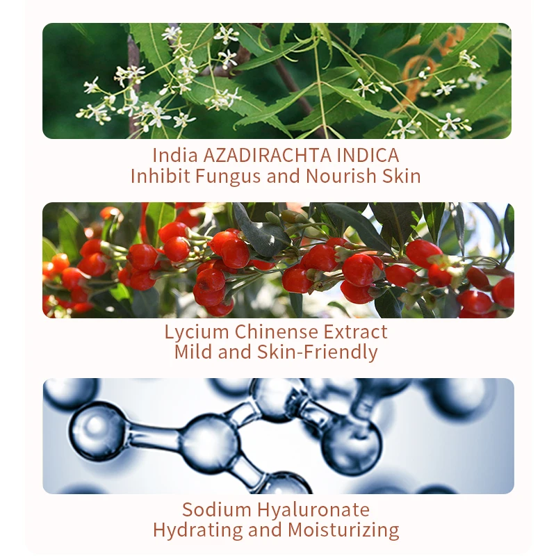 OEM ODM Rose Fragrance perfume Body Wash shower gel smell rose for Dry and Neutral Skin  for Women