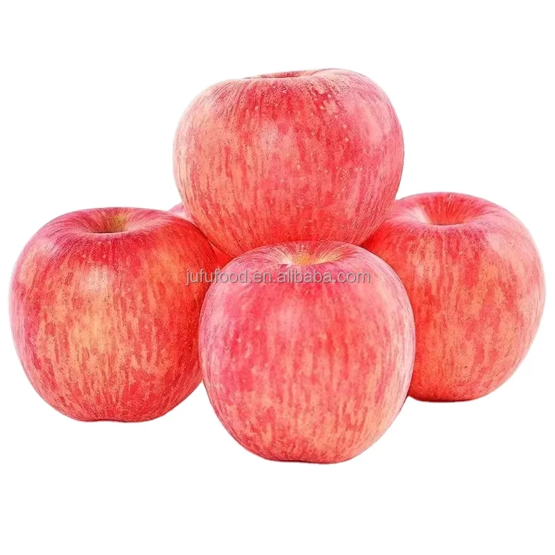 apple export from china best selling fuji apple
