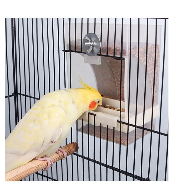 China Plastic Seed No Mess Automatic African Love Birds Parrot Stand With Feeder