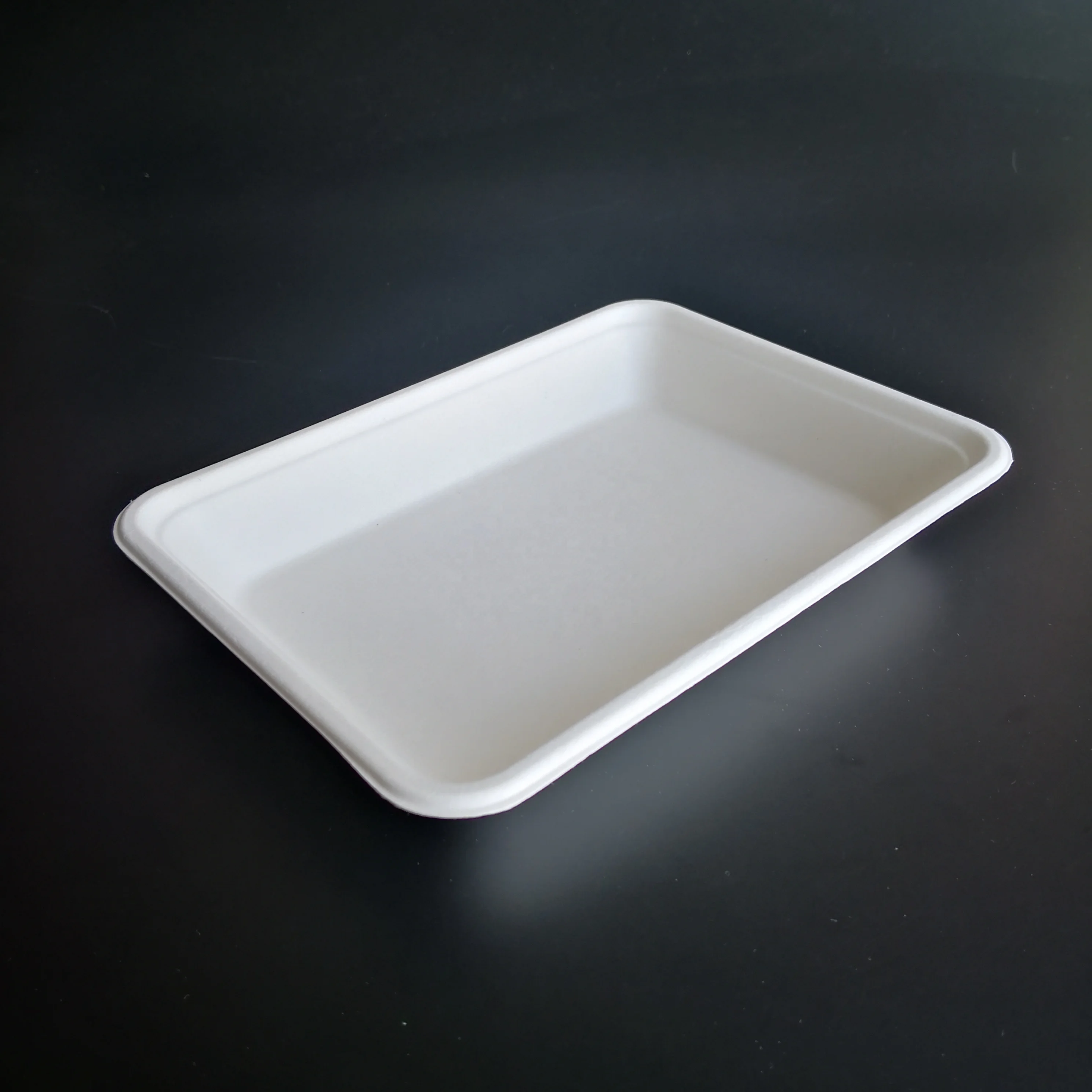 Eco Friendly Biodegradable High Quality Plant Fibre Disposable Food Tray