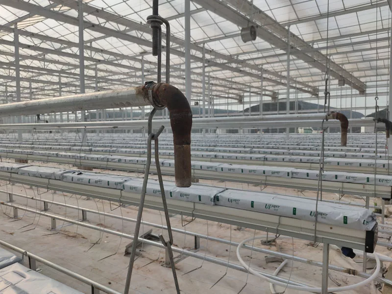 Large High Wind Snow Load Greenhouse Glass Agricultural Greehouses With Hydroponic System