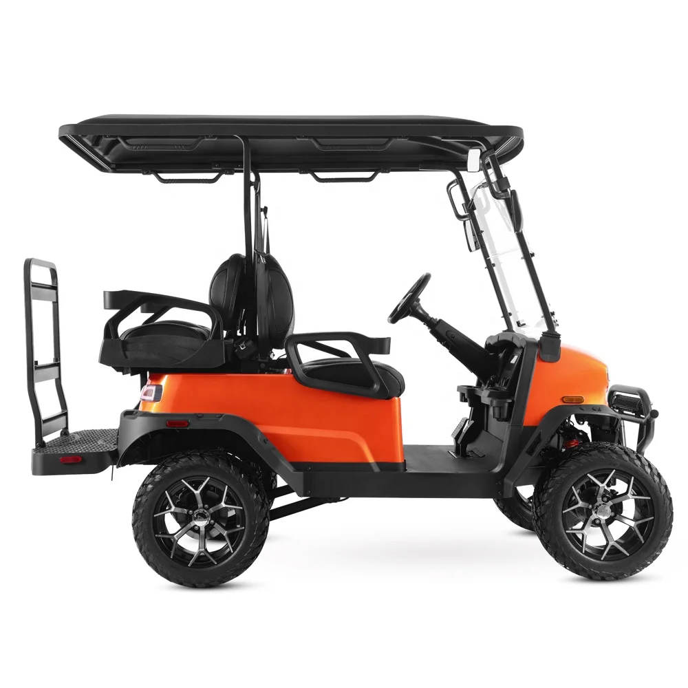 Tao Motor 2024 Chinese New Design 48v Lithium Battery Utility High Quality Electric Golf Cart