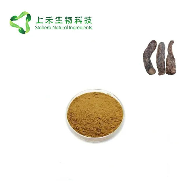 Cistanche Deserticola,Caulis Cistanchis Extract,Cistanche tubulosa Extract