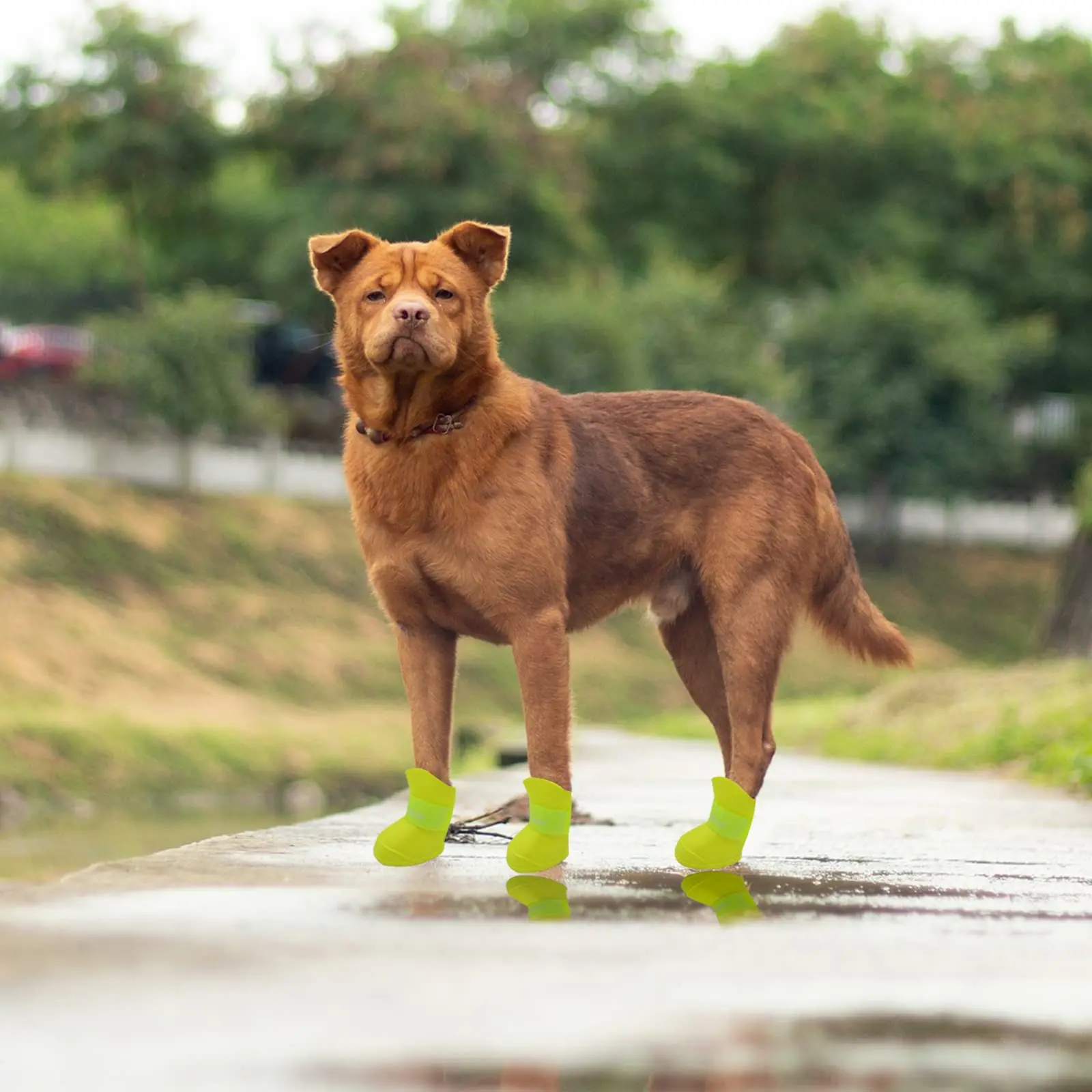Outdoor Dog Boots Waterproof Adjustable Silicone Shoes Adjustable Strap Non-Slip Shoe for Rain Paw Protector for Hiking