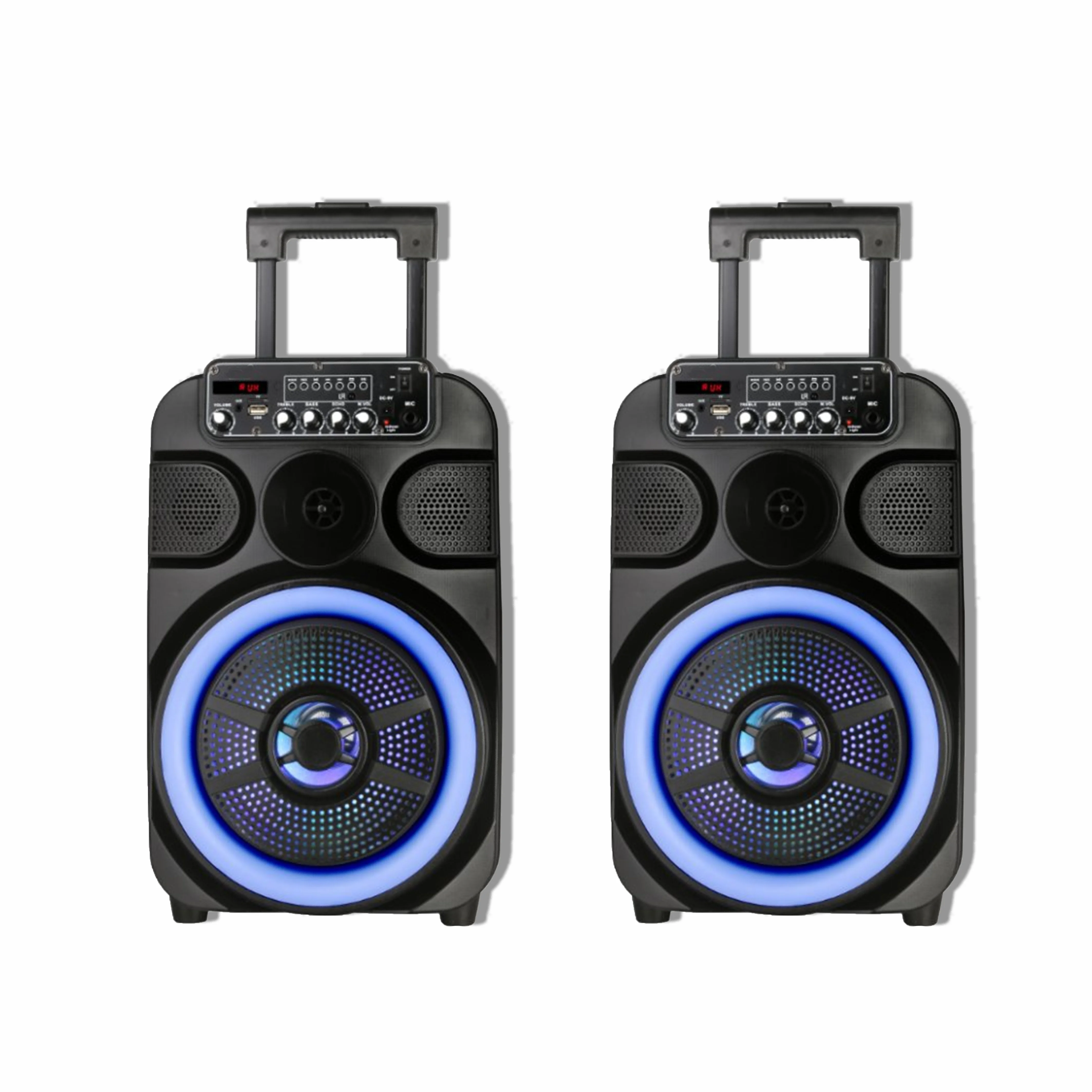 Single 12 Inch Stereo Professional Multimedia Battery Portable Trolley Speaker With Fire Light