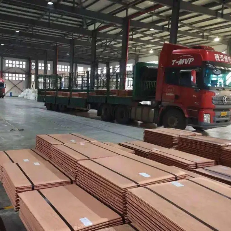Copper Sheet Hot Sale Electrolytic Copper Cathode 99.99% Brass Plate Soft Beryllium Power Transmission