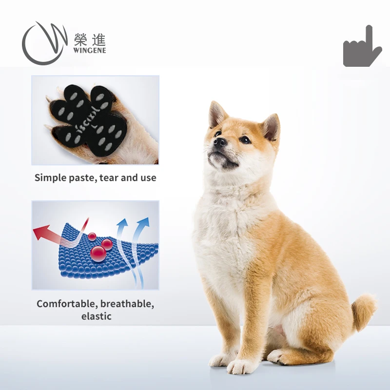2022 Design New Dog Paw Protector Adhesive Pet Glue Creative Pet Foot Pad