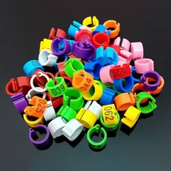 100 pieces 8 mm numbered bird ring leg bands for gouldian zabra finch canary society bord foot ring