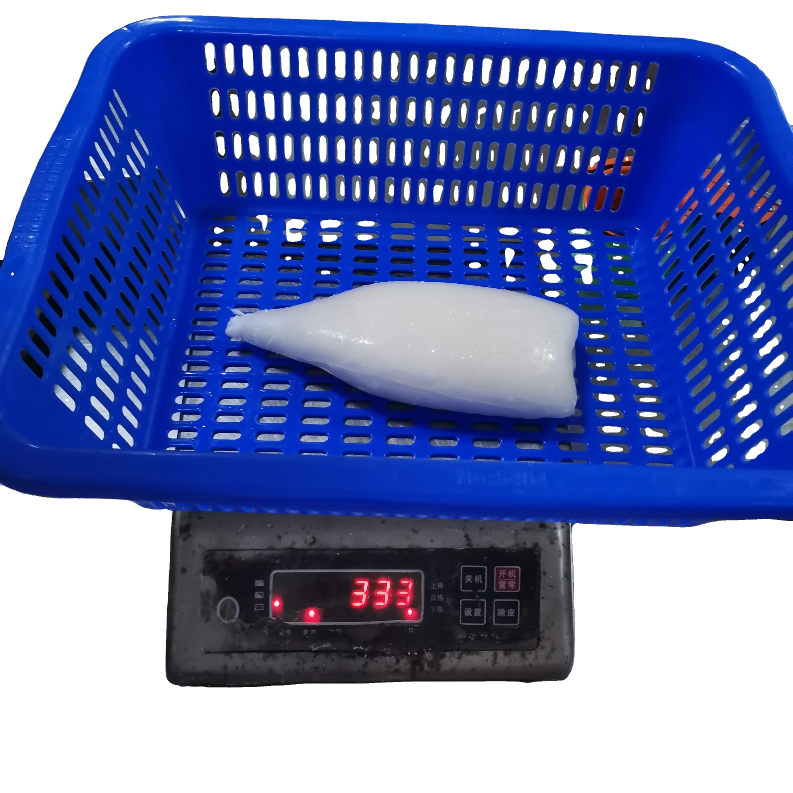 Frozen Squid Tube U5