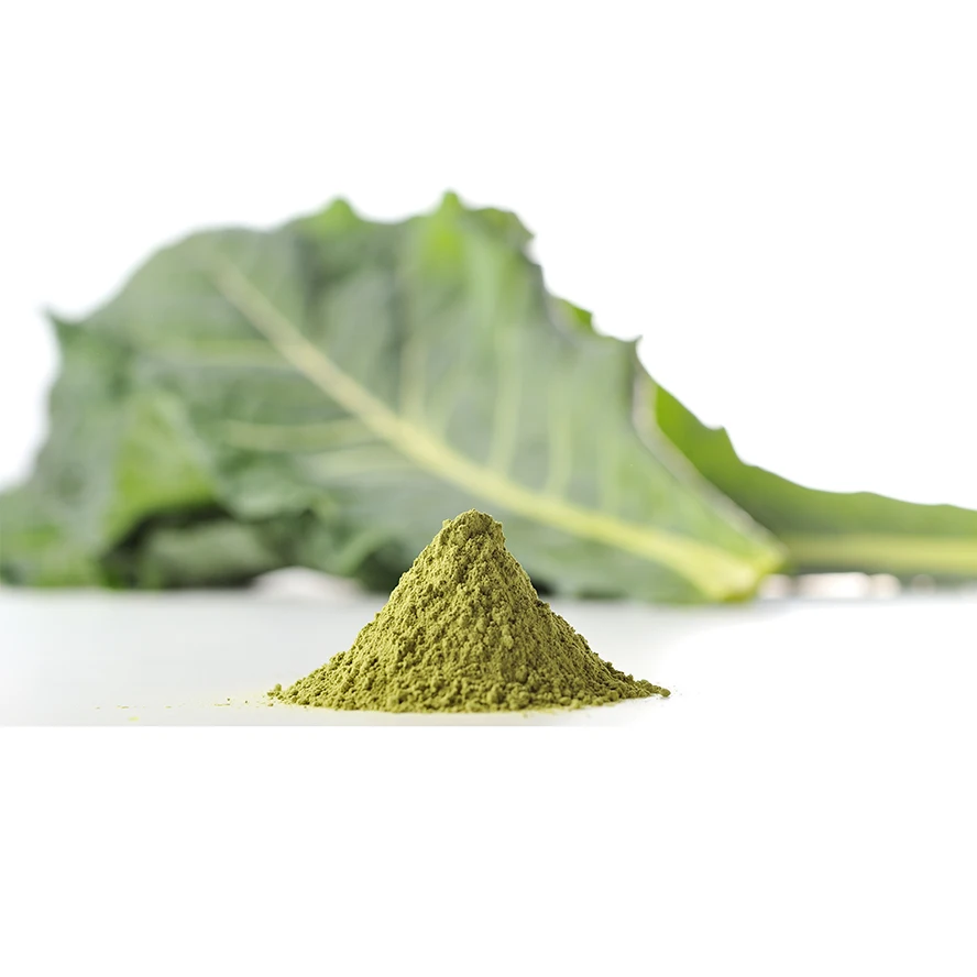 Organic Japanese Kale Powder Healthy Nutrition Supplement Green Vegetable OEM Health Foods Bulk Packaging