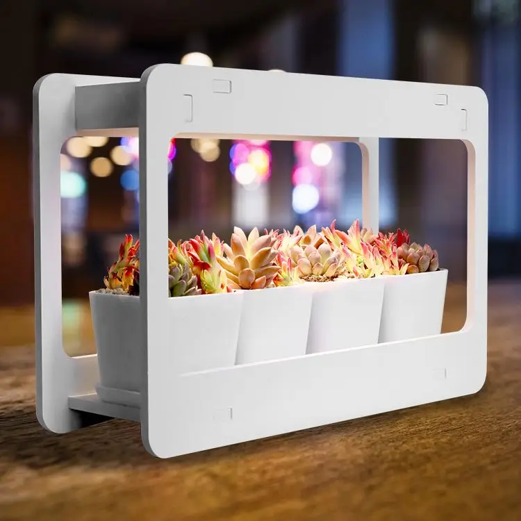 J&C Minigarden Eragon 2022 indoor home and garden green herb starter grow kit 2022