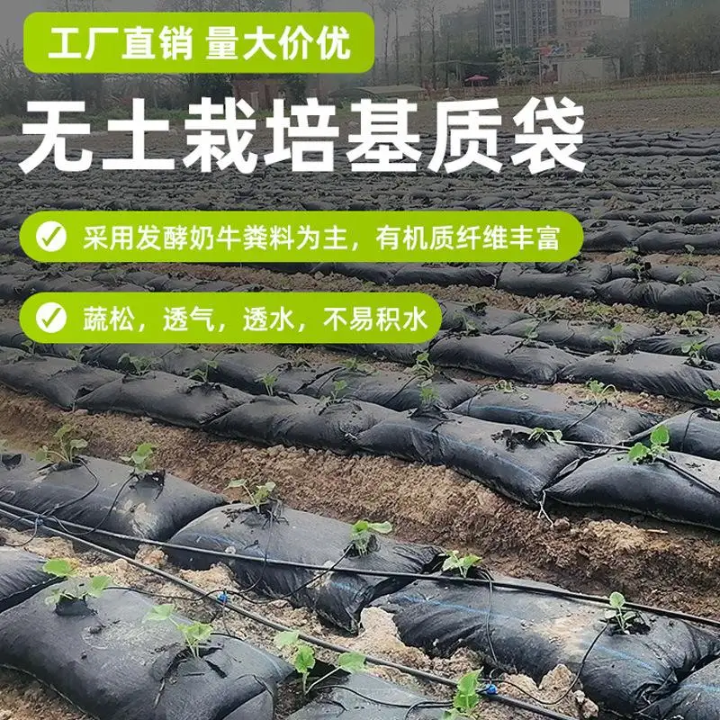 Прямые продажи с завода экономичная и прочная дешевая цена для многоразового клубничного мешка складной