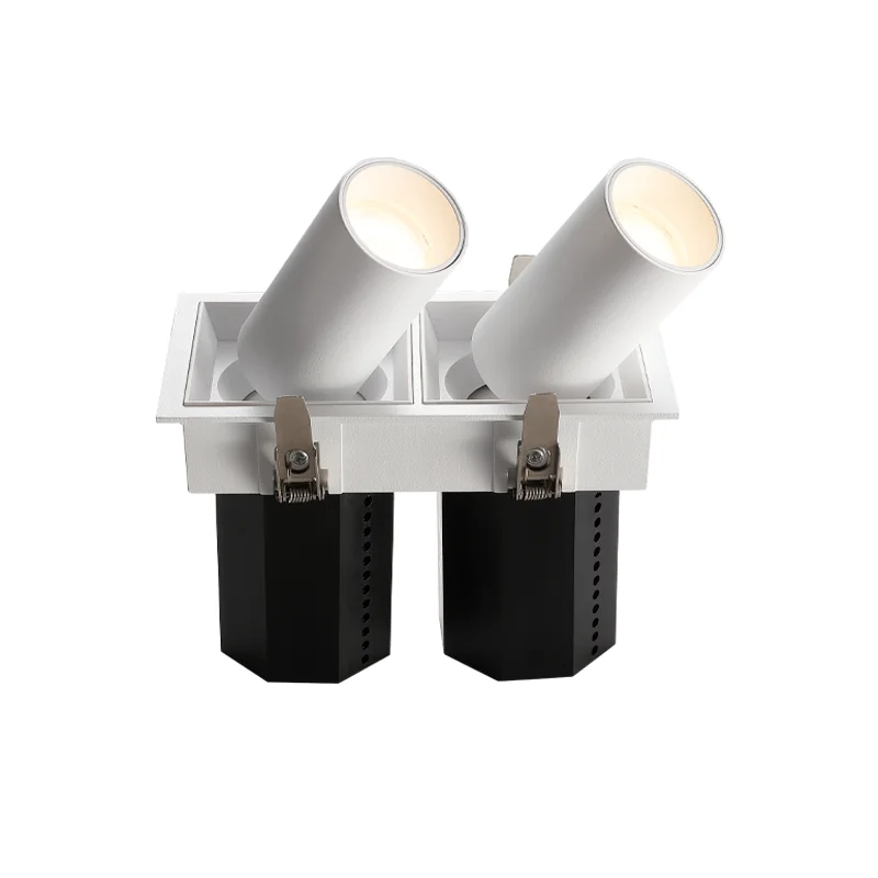 Multi Heads Square LED Downlight 2*10W LED Recessed Adjustable Spotlight Retractable LED Spotlight (1600545449816)